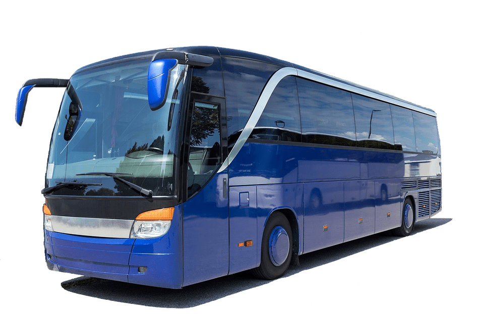 bluebus